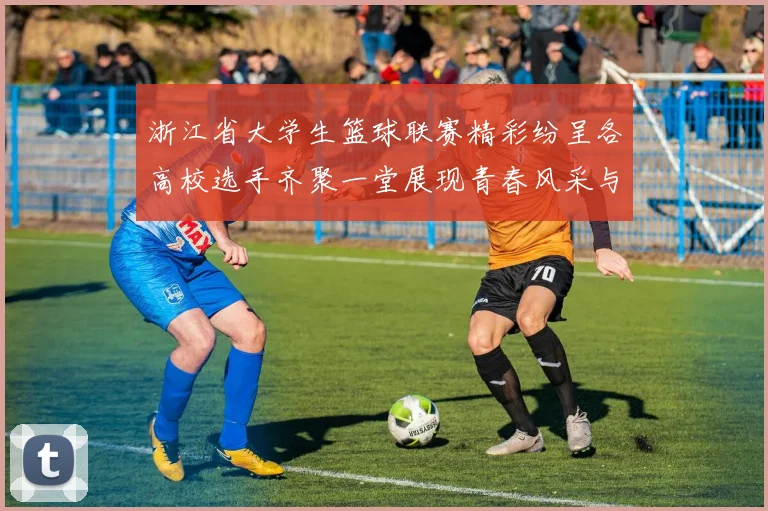 浙江省大学生篮球联赛精彩纷呈各高校选手齐聚一堂展现青春风采与竞技精神