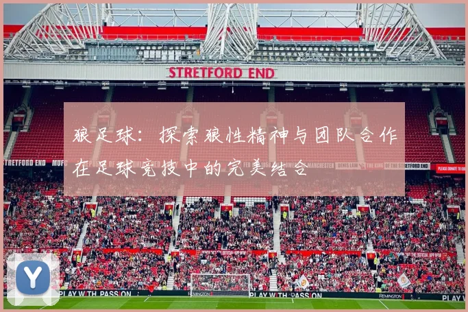 狼足球：探索狼性精神与团队合作在足球竞技中的完美结合