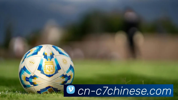 App Interface Preview